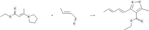 2-Butenoic acid,3-(1-pyrrolidinyl)-, ethyl ester, (2E)- can react with but-2-enal to get 5-methyl-3-penta-1,3-dienyl-isoxazole-4-carboxylic acid ethyl ester.